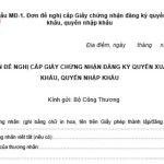 Nghiệp vụ Xuất Nhập Khẩu